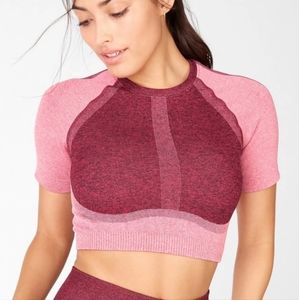 Fabletics Helena Seamless Pink Heather Colorblock Activewear Crop Top Size L NWT